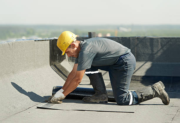 Best Insulation Installation Services in Dalton, GA